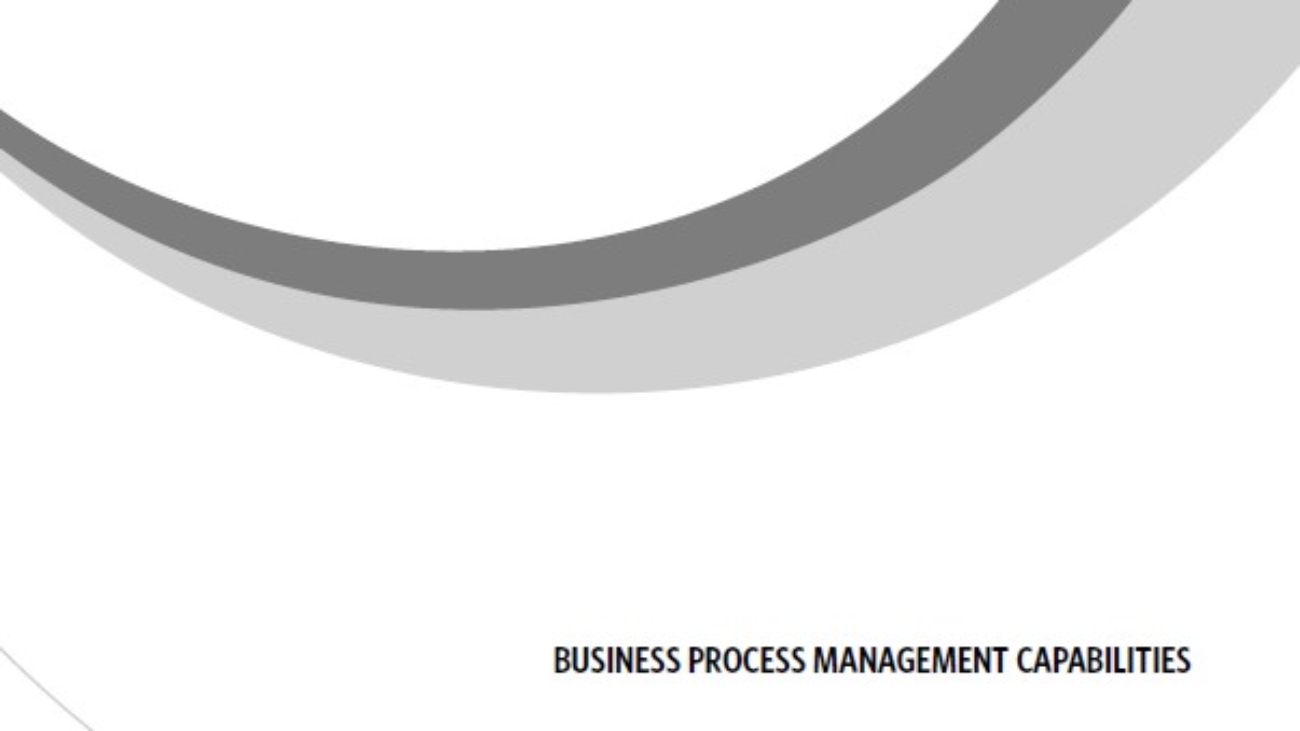 _Business Process Management Capabilities